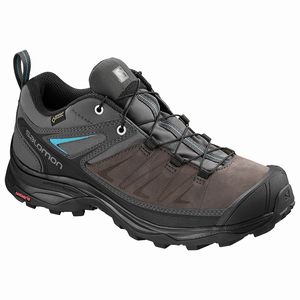 Dámske Turistické Topánky Salomon X ULTRA 3 LTR GTX W Siva/Čierne,673-16119